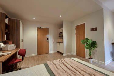 Deluxe Studio - Image 2